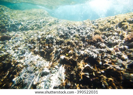 underwater sea rocks bottom background