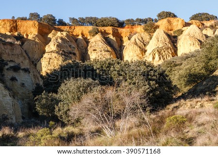 Gullies. Clay cliffs and oaks. Torcas. Barrientos, Leon, Spain.