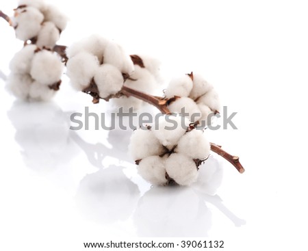 Cotton over white