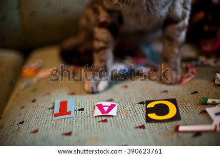 Cat paws showing on the letters-  C A T - 