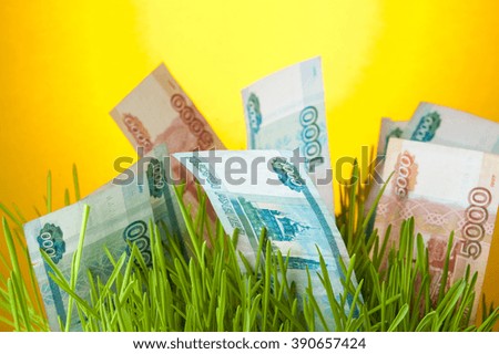 Russian ruble bills among green grass. Money growth. Financial concept.
