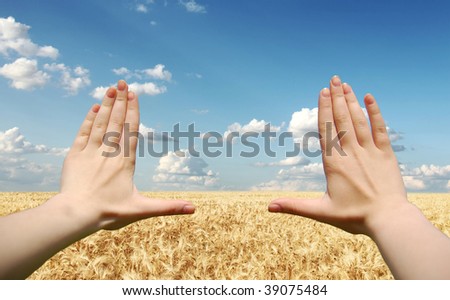 Frame made of hands at wheat field