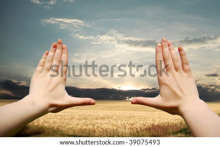 Frame made of hands at wheat field at sunset