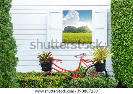 Decorate gardening with bicycle and windows, can see the rice field and mountain blurred background with sunset