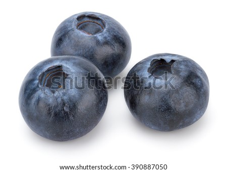 Fresh Blueberry isolated on white background with clipping path.