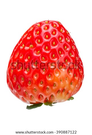 Beautiful Fresh Strawberry Isolated on White Background with Clipping Path.