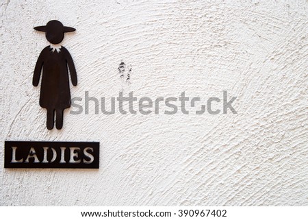 Toilet Sign, Toilet icon for Woman - steel label on rock surface