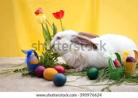 Colored Easter eggs with little baskets and rabbit