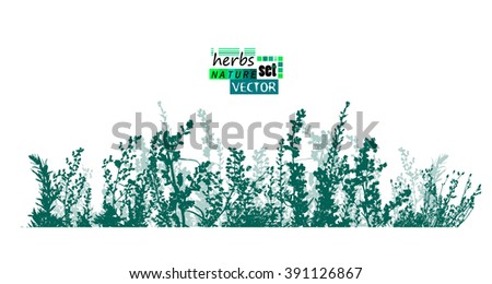 grass horizontal line. Vector
