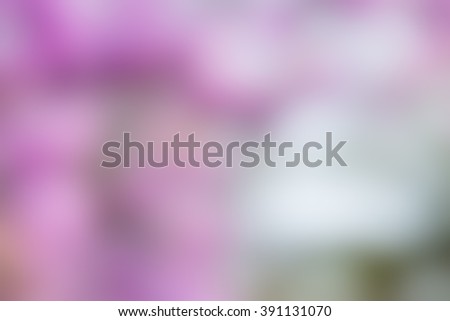 purple abstract bokeh background created in flower