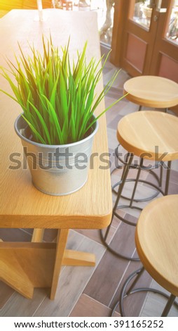 Little Green tree pots decoration on wooden table and wooden chair in cafe.jig