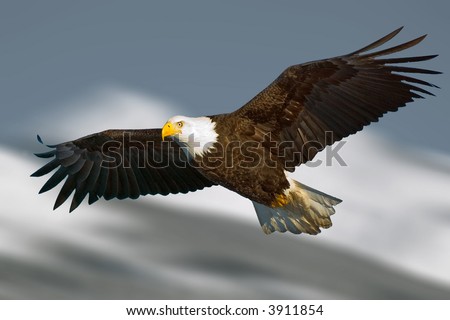 bald eagle with light on face and in flight against illustrated mountain background