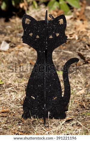 A black cat centerpiece for Halloween