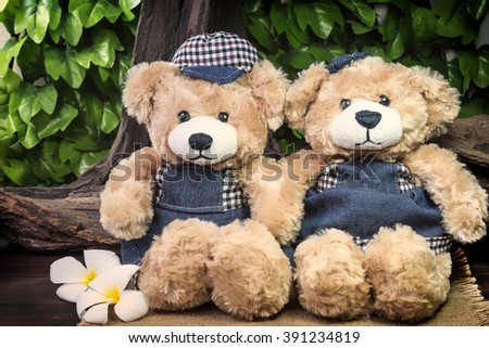 couple teddy bears picnic in garden with two plumeria flowers, love concept vintage style