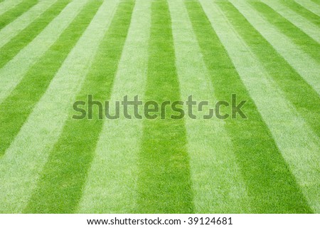 Perfectly striped freshly mowed garden lawn in summer Royalty-Free Stock Photo #39124681