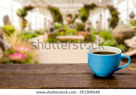 Cup of coffee  on a old wooden table in greenhouse garden.close up