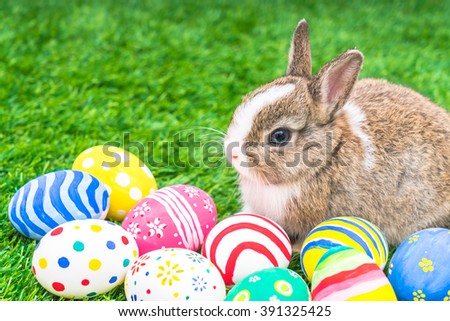 Rabbit and easter eggs in green grass