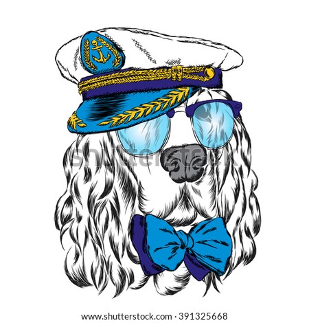 Spaniel in the captain's cap. Vector illustration of a dog.