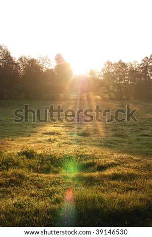sunrise on the field
