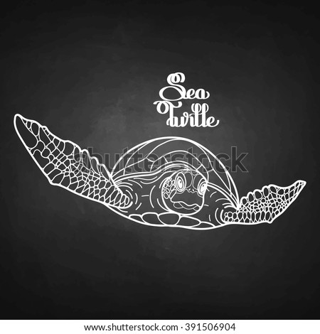 Graphic Hawksbill sea turtle drawn in line art style. Front view. Ocean vector creature isolated on chalkboard