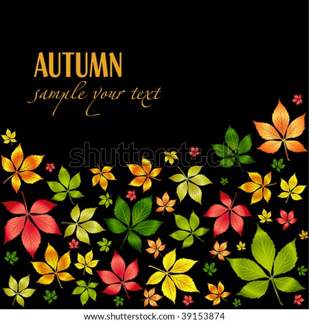 Set of vector colorful autumn leafs .Autumn background