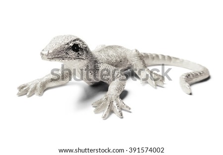 Silver decoration lizard, isolated on White