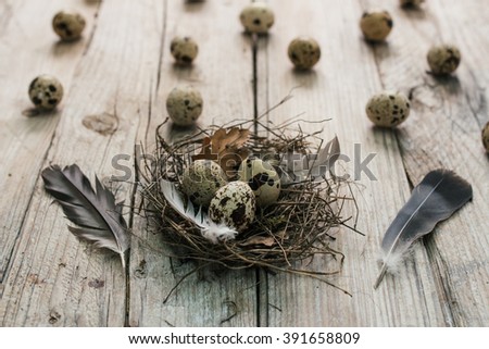 Quail eggs in a nest on wooden background