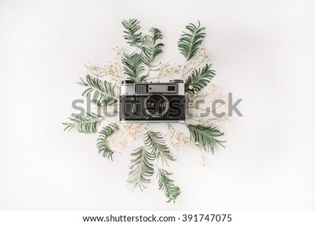 Flat lay. Vintage retro photo camera, yellow mimosa and green brunches, top view