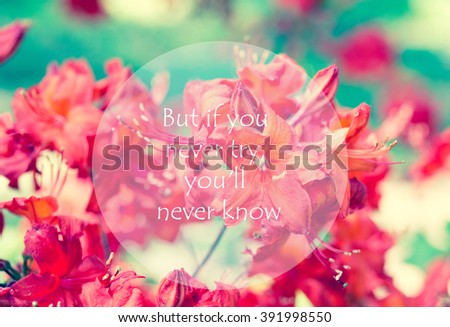 Conceptual  phrase But if you never try, you'll never know. Flowers background.