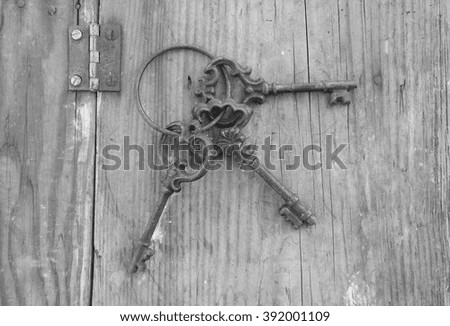 Antique Skeleton Keys on Ring