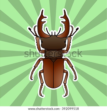 Insect anatomy. Sticker stag-beetle. Lucanus cervus. Sketch of stag-beetle. stag-beetle Design for coloring book. hand-drawn stag-beetle. Vector illustration