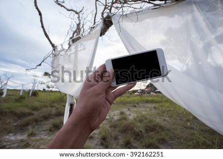 hand holding smartphone against nature .wedding setup background Ecology concept. World Environment Day concept.