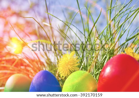 Beautiful view of colorful Easter eggs lying in green grass between daisies and dandelions in the sunshine