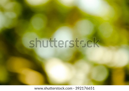 Blur green leaves with bokeh, abstract background