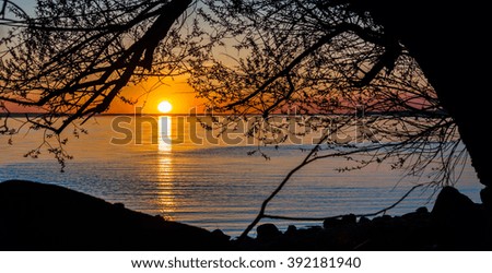 Silhouettes of tree branches and the river banks against the backdrop of the sun leaving for horizon