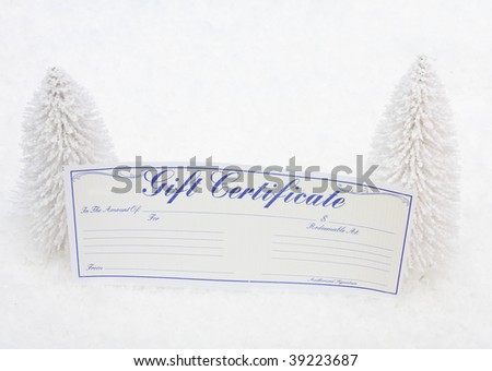 White evergreen trees sitting with a blank gift certificate with a snow background, gift certificate