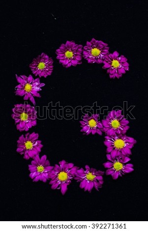 text arranged by purple daisies flowers, black background 