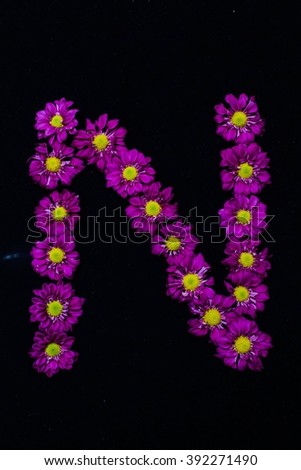 text arranged by purple daisies flowers, black background 