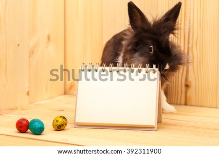 Funny little rabbit among Easter eggs on wooden background. Post blog social media easter. Banner template layout mockup for happy easter