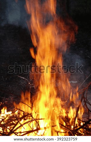 Flames burning in the bonfire