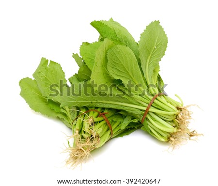 fresh green leafy kale vegetable (Brassicaceae) isolated on white background