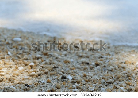 sea sand Shell sky and summer day
