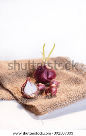 Raw Organic Spicy Shallots on a Background
