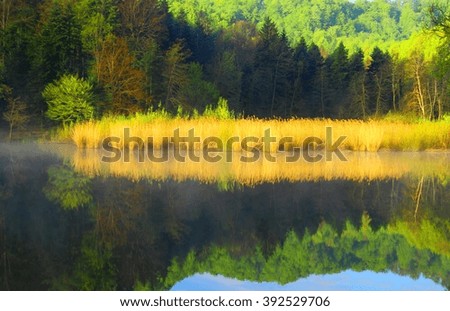 Scene on the lake