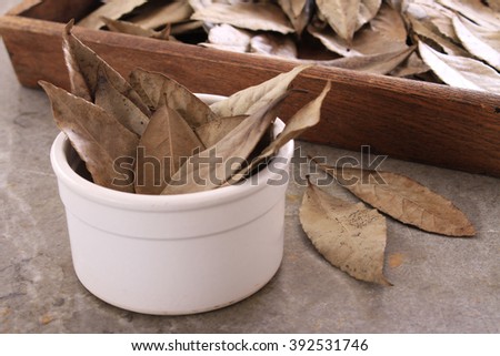 dried bay leaves in white bowl