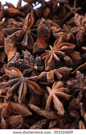 star anise spice in dish