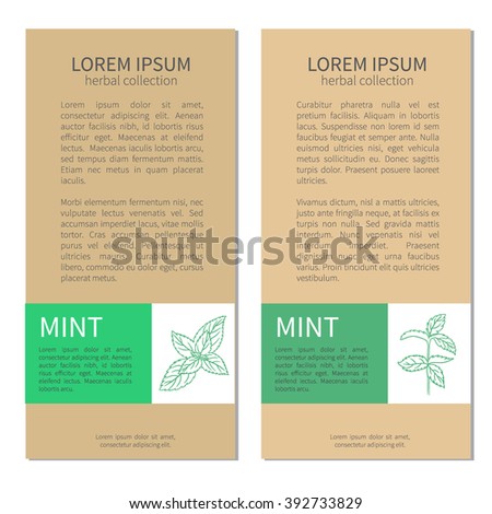Vertical vintage labels with mint leaves, vector frame with peppermint, Medical plant, Healthy spicy herbs, kitchen condiment, Design for cosmetic, beauty salon, natural organic product, packaging tea