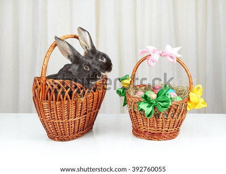 Two rabbits sitting in a wicker basket near a basket with Easter eggs