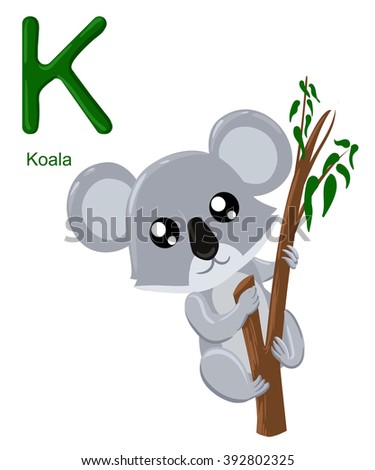 Alphabet for children. Cute vector zoo alphabet with cartoon animals isolated on white K koala
