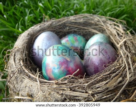 Colorful easter eggs in the birds nest